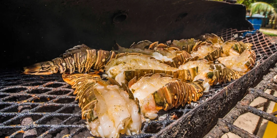 Belizean spiny lobsters on the grill- YUM!