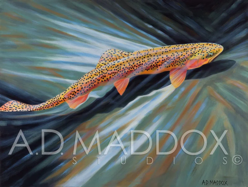 AD Maddox www.admaddox.com