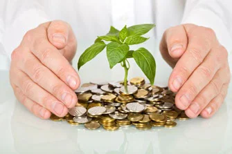 Financial Wellness