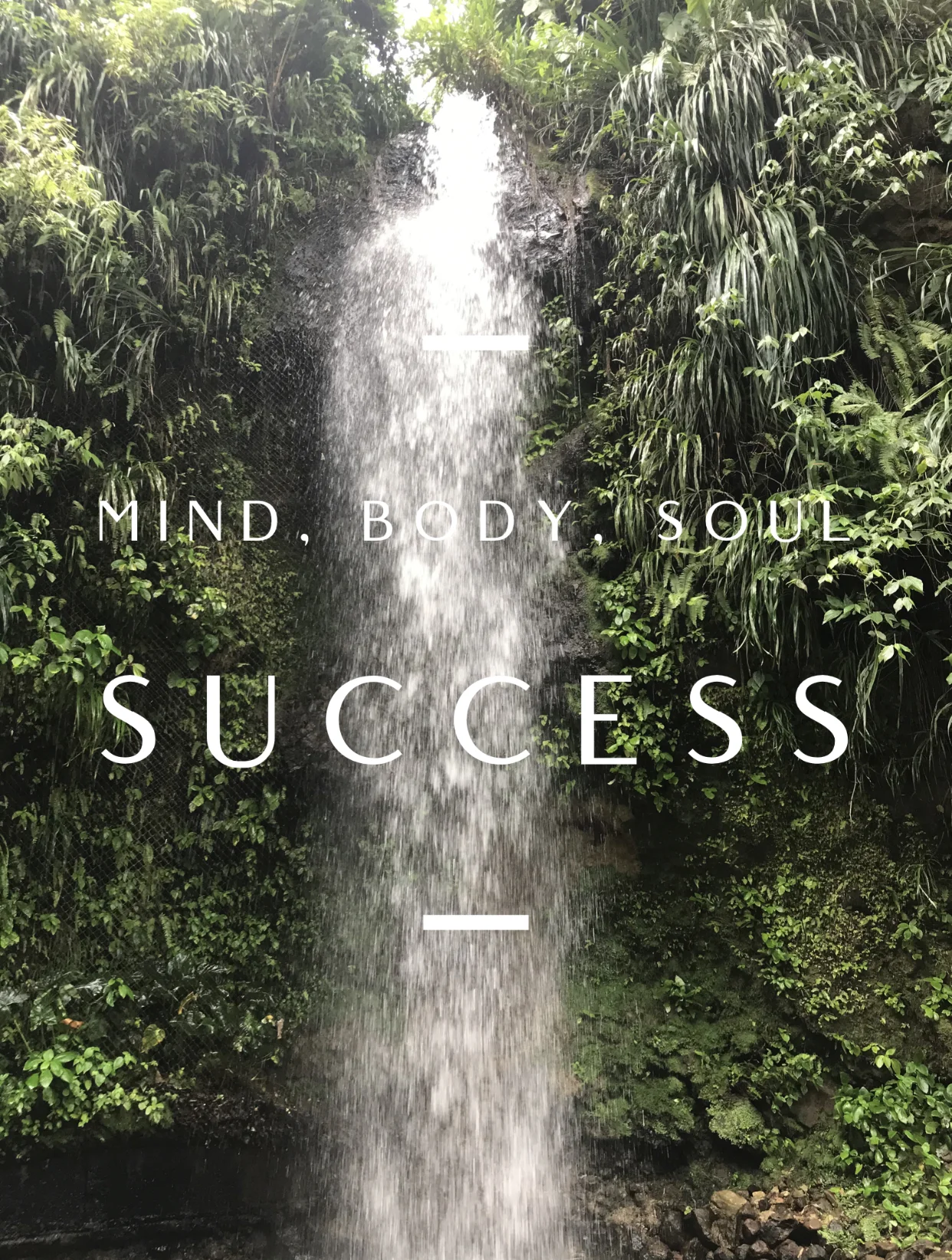 Applying Success Principles for Mind, Body, Soul Success