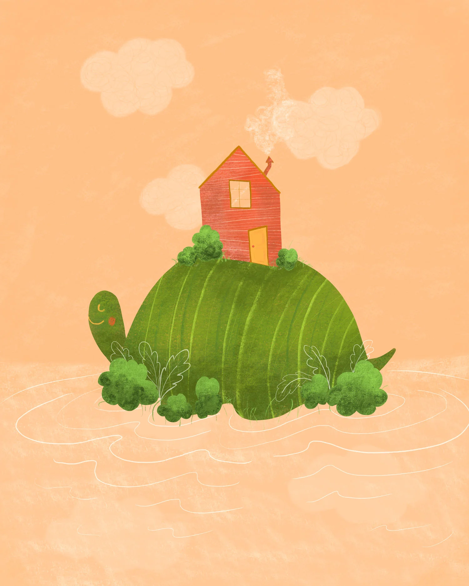 Turtle_Island_shopthumb_forweb.jpg