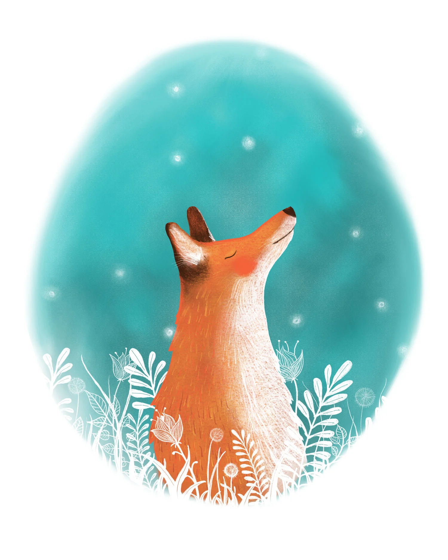 Night_Fox_WEB.jpg