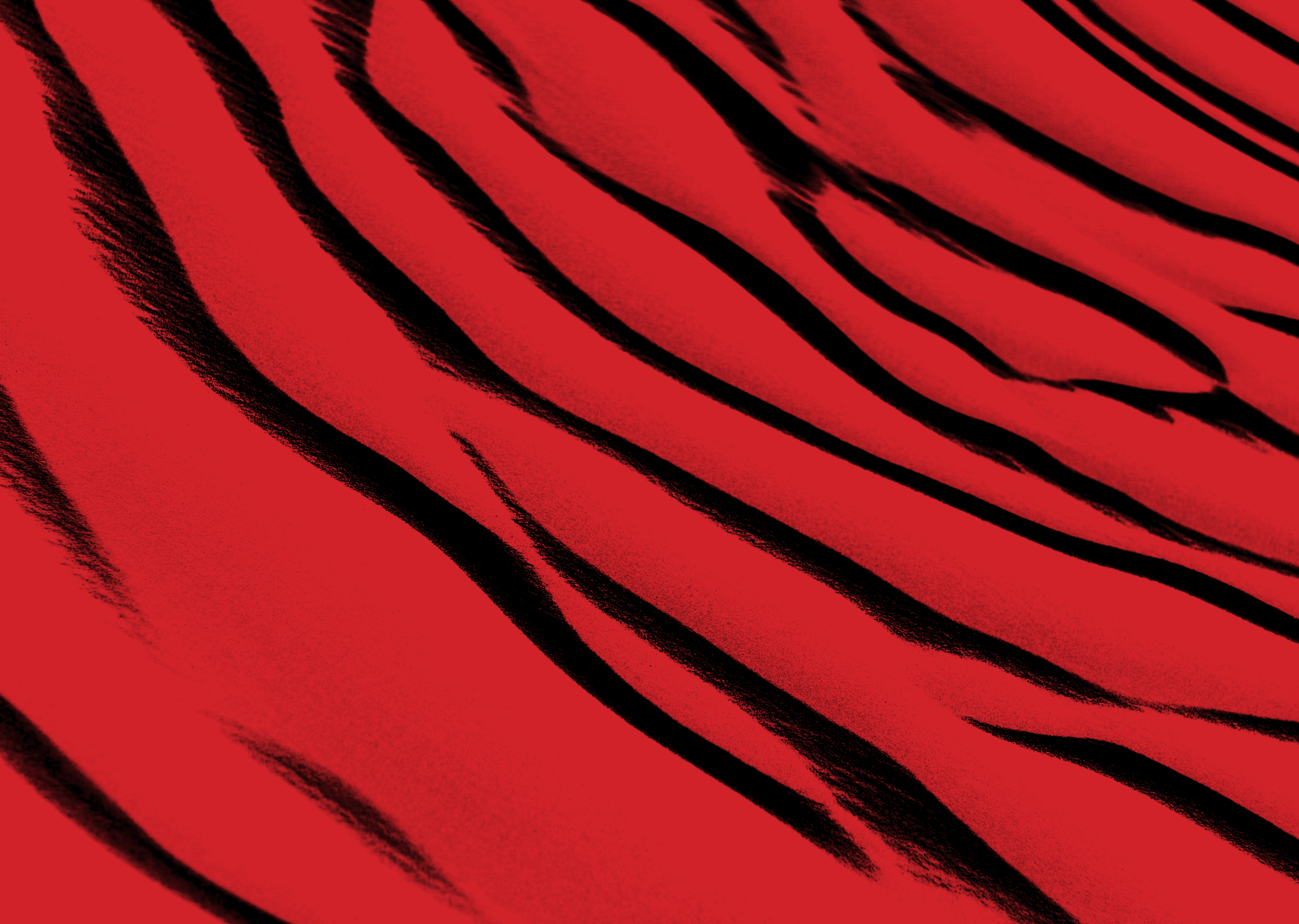 pattern6.png