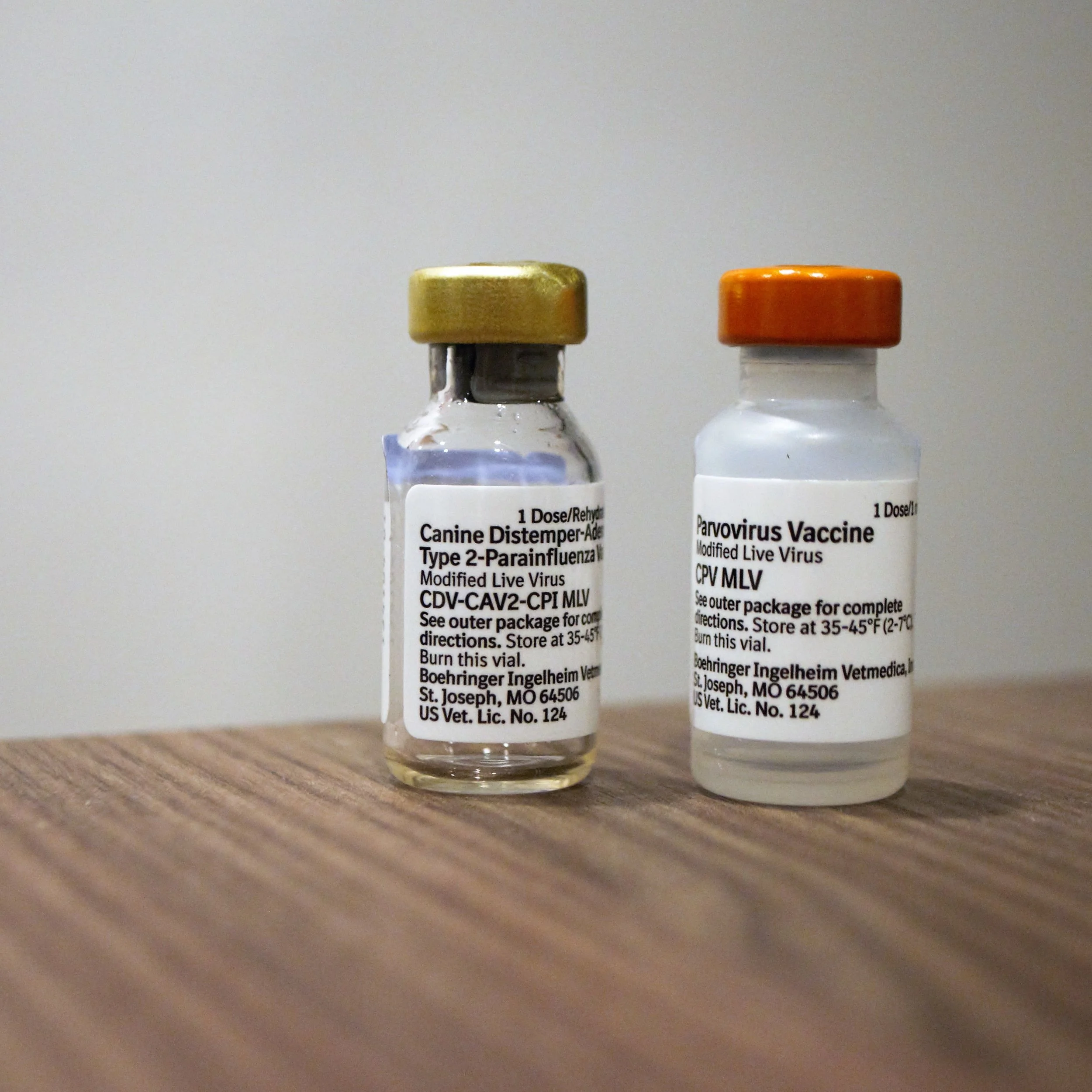 The vaccine bottles we were given