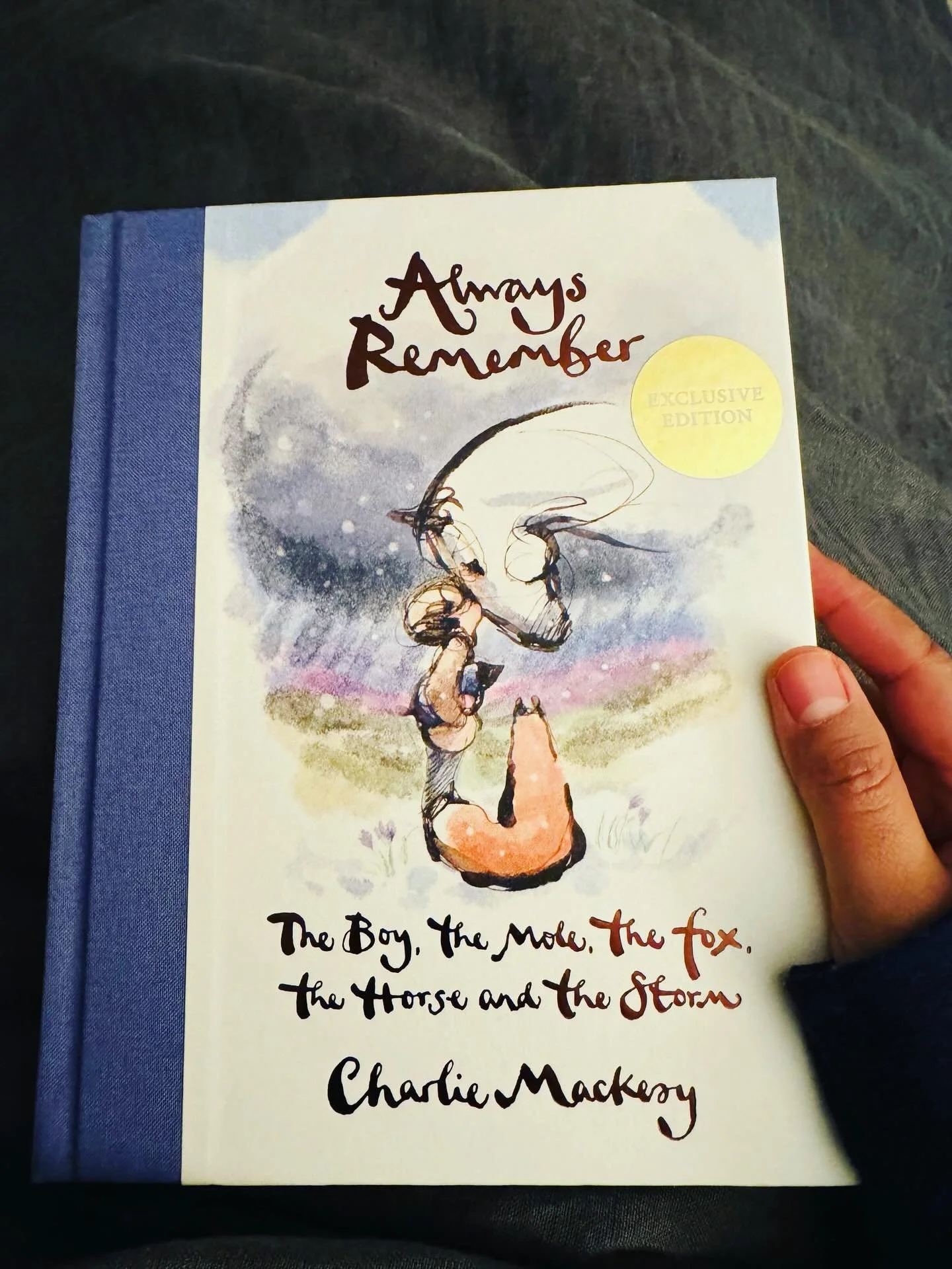 review | charlie mackesy&rsquo;s &ldquo;always remember: the boy, the mole, the fox, the horse, and the storm&rdquo;⁠
⁠
&ldquo;There seems to be a lot to achieve in this life, but I think just to be here and to sing your song is a victory.&rdquo;⁠ 
⁠