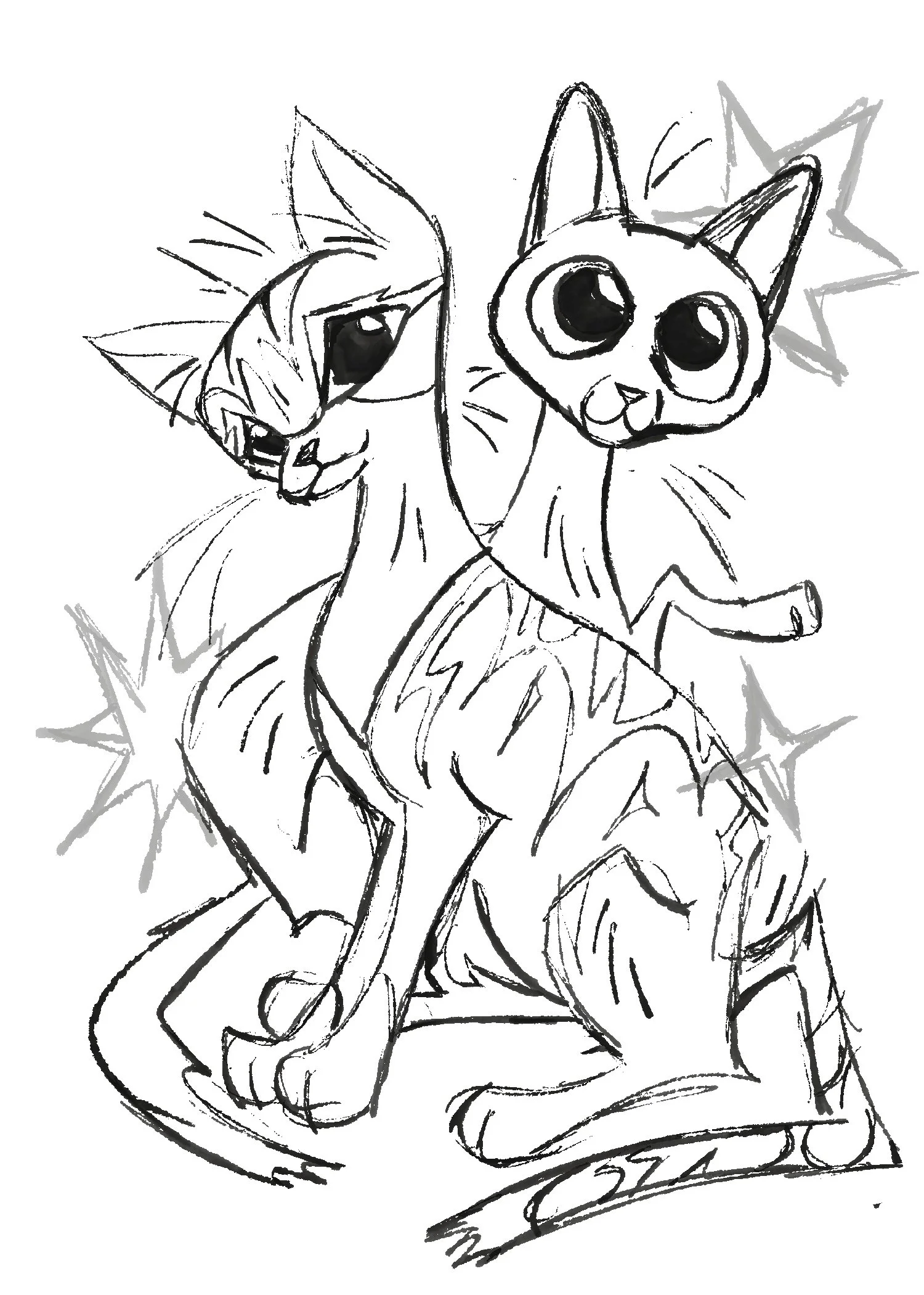 Cat Sketch.jpg