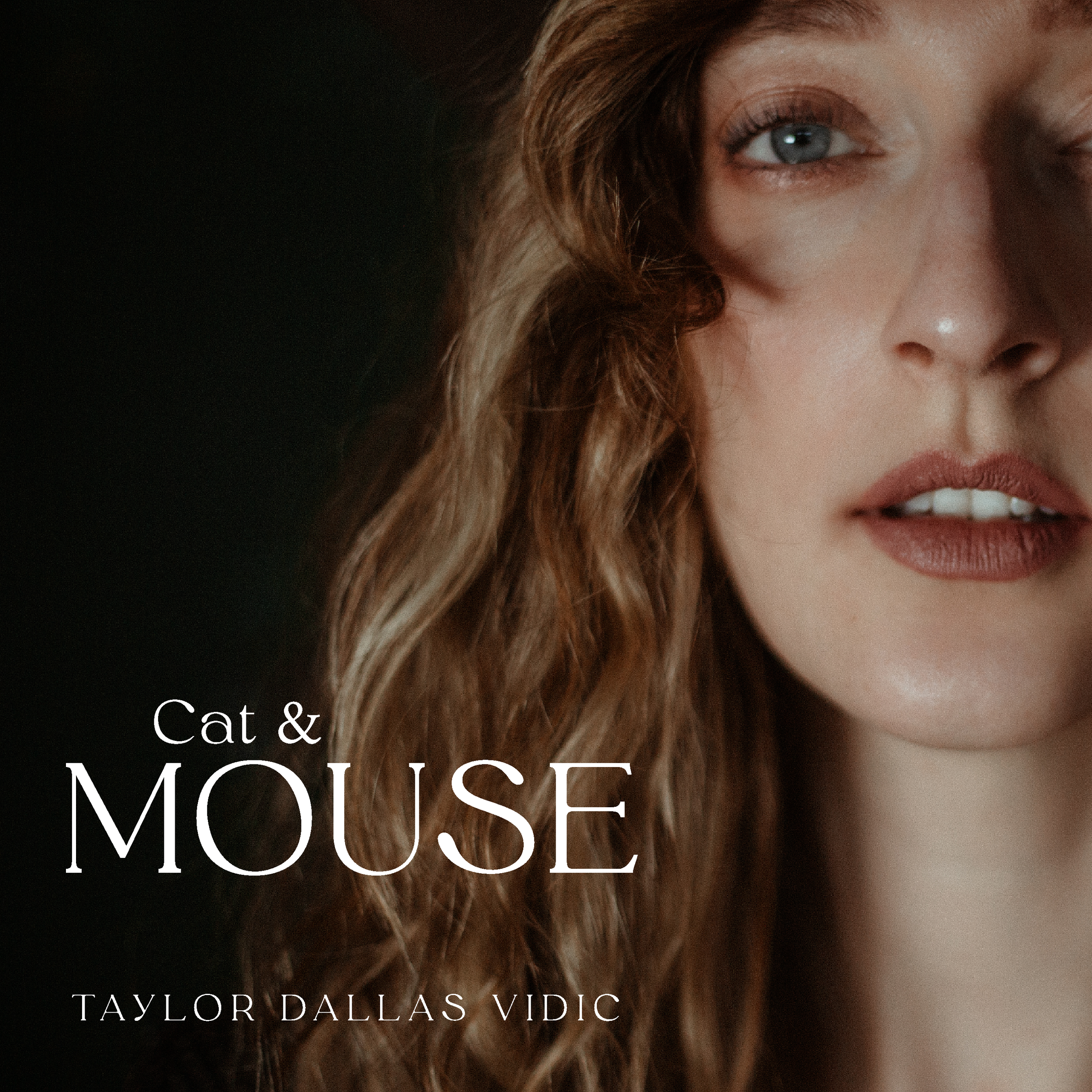 TVD_CatAndMouse2.PNG