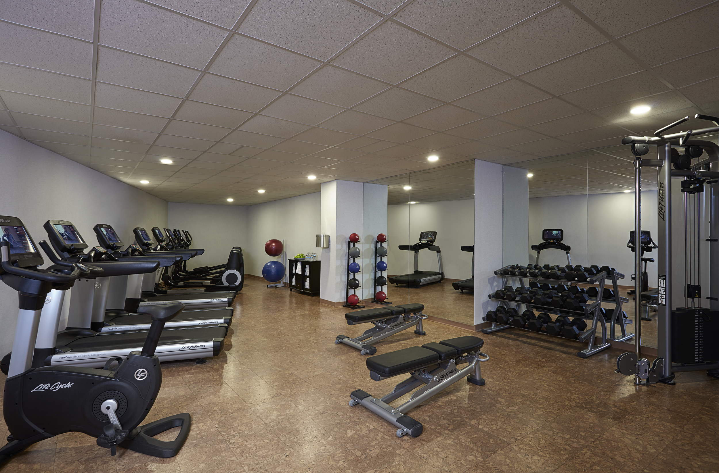 Copy of Copy of ithmc-fitness-0029.png
