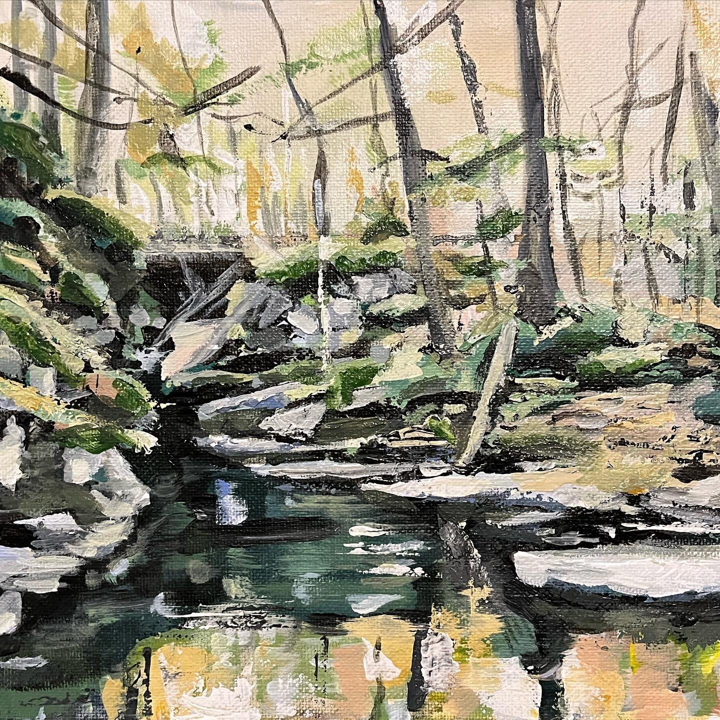 Not sure if this is finished or not, but looking okay so far I think! A little November scene from Rickett&rsquo;s Glen. 

#rickettsglen #rickettsglenstatepark #landscapepainting #landscape #painting #acrylicpainting #waterfalls