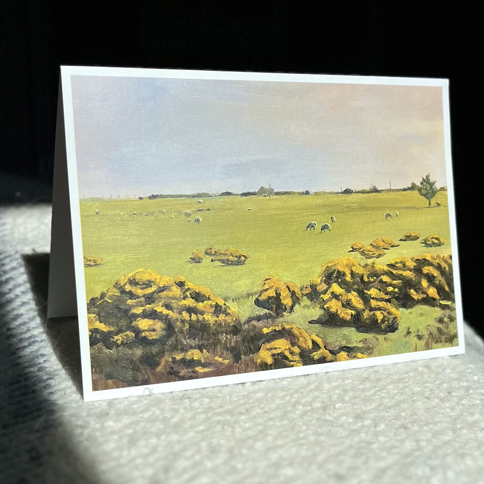 Dream Sheep | Folded Card