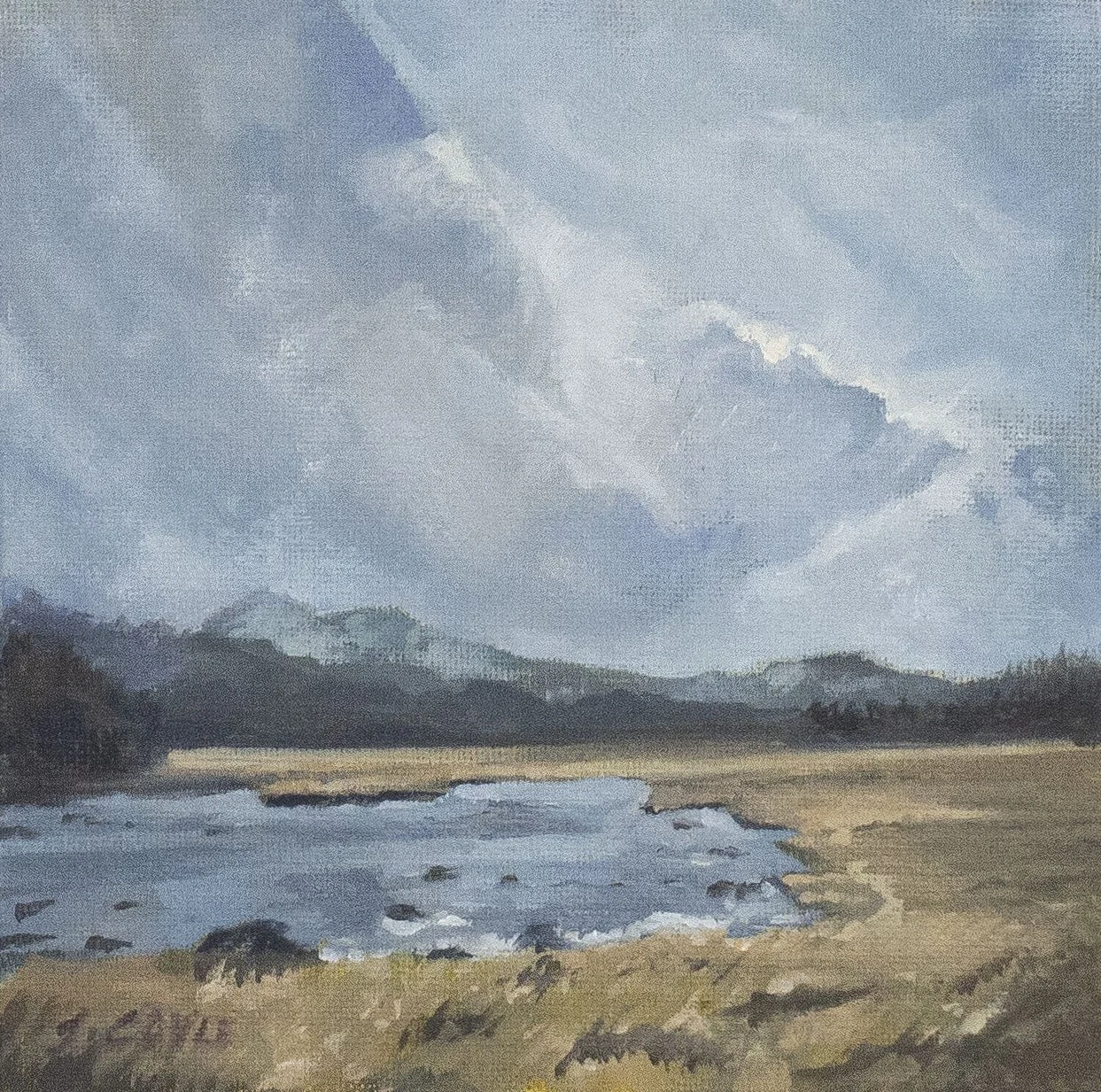 Upside Down Reflection