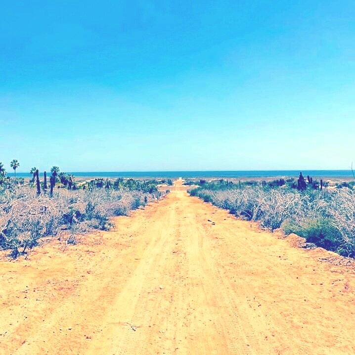 Introducing our Permaculture Project in Todos Santos, Baja California Sur, Mexico