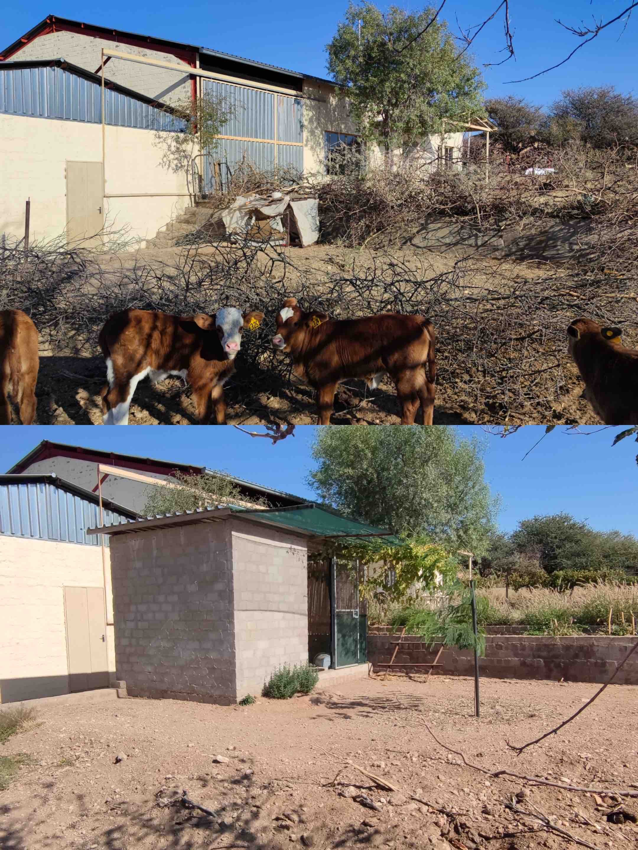 The chicken coop