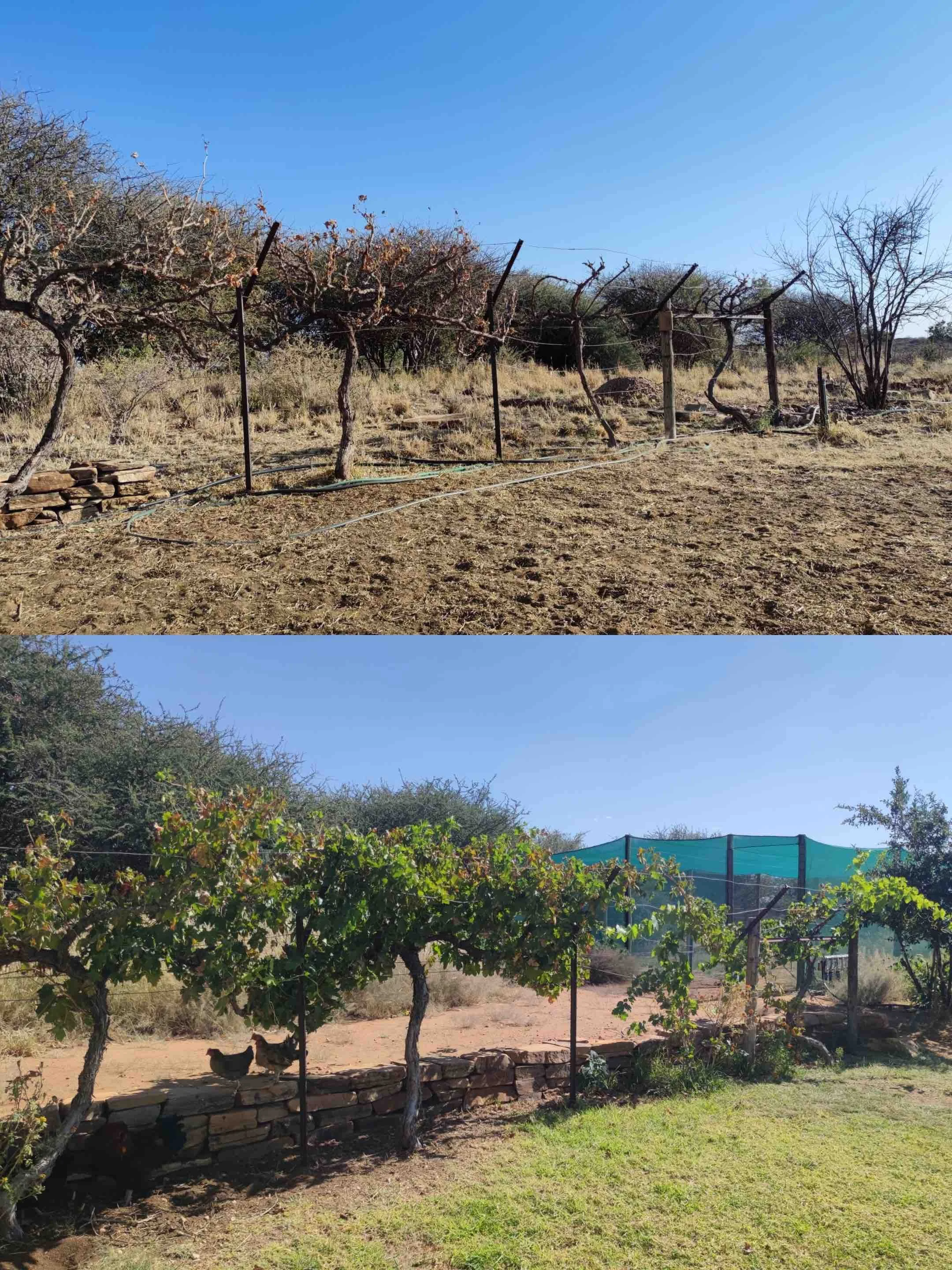 IMG_20240504_194513.jpg