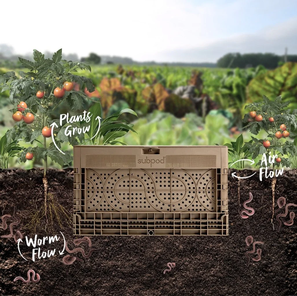 Desert Vermicomposting with SubPod, an In-Ground System 