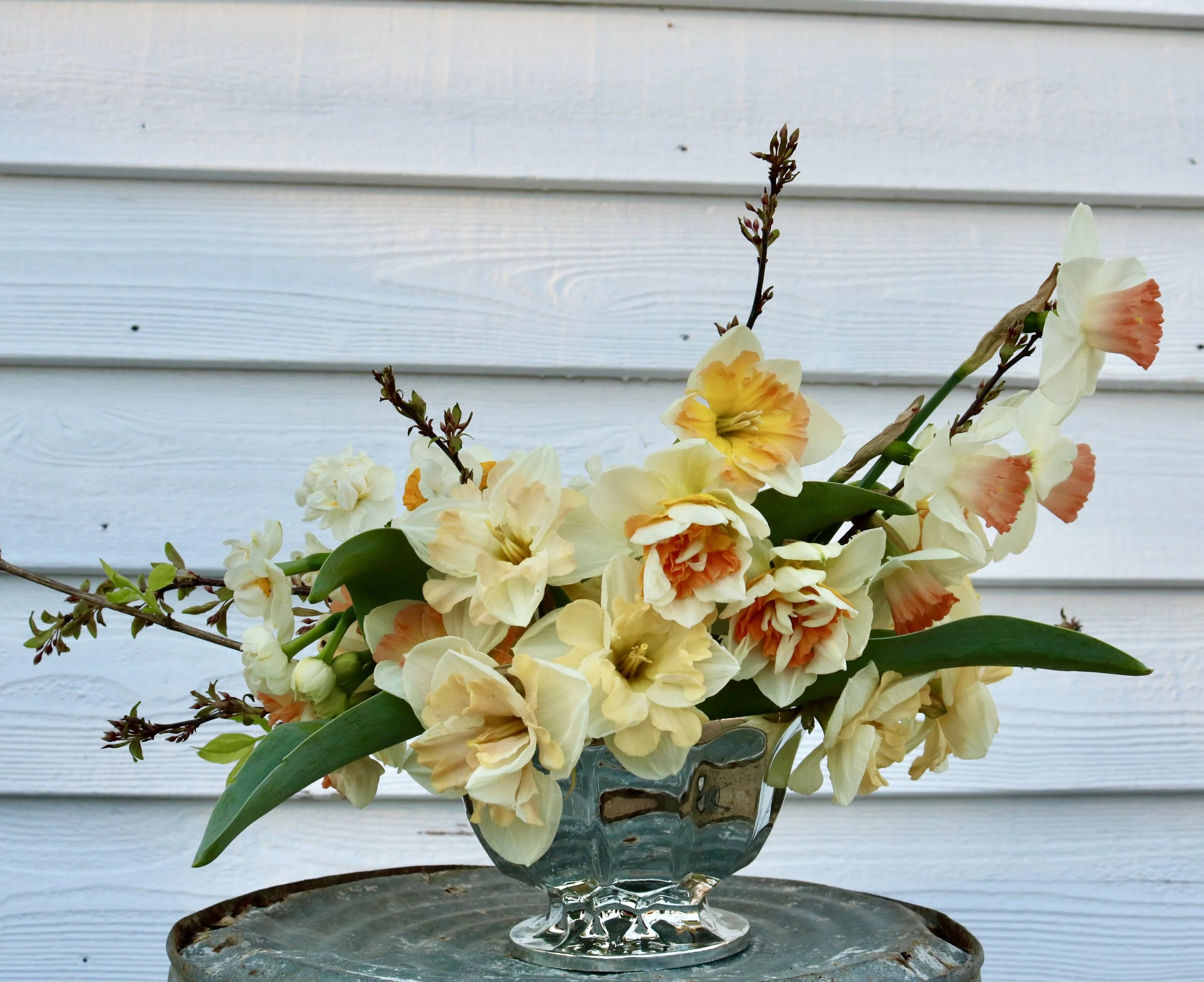 Daffodil compote.jpg