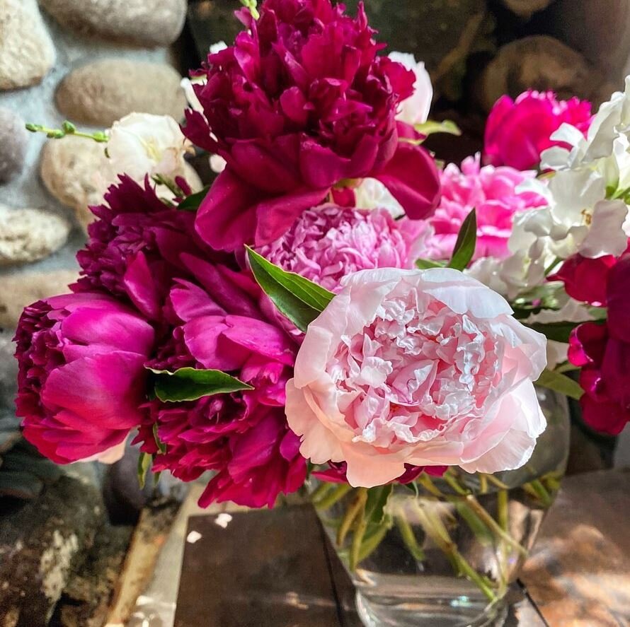 Peony Passion Subscription 4 Weeks Starts In June Clara Joyce Flowers