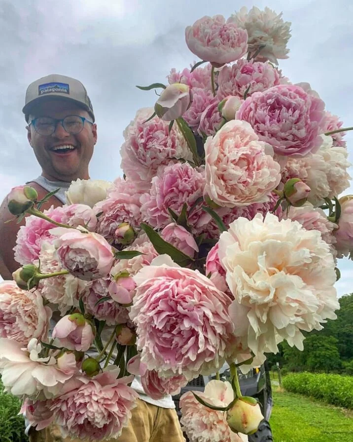 Peony Passion Subscription 4 Weeks Starts In June Clara Joyce Flowers