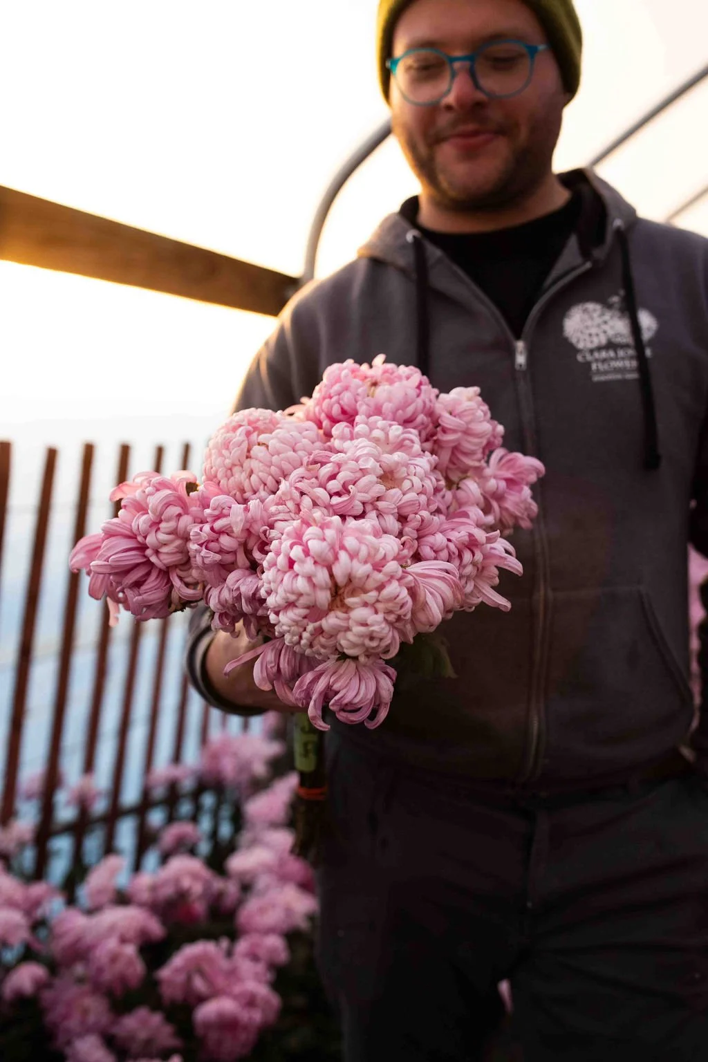 RC Heirloom Chrysanthemum 'Jefferson Park' — Clara Joyce Flowers