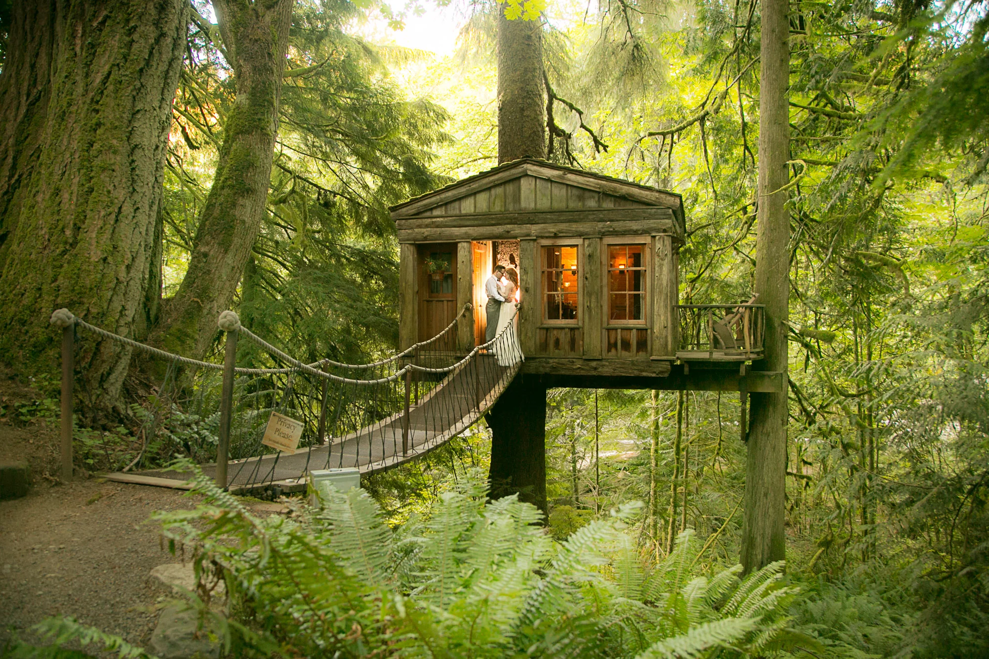 Tree House Point