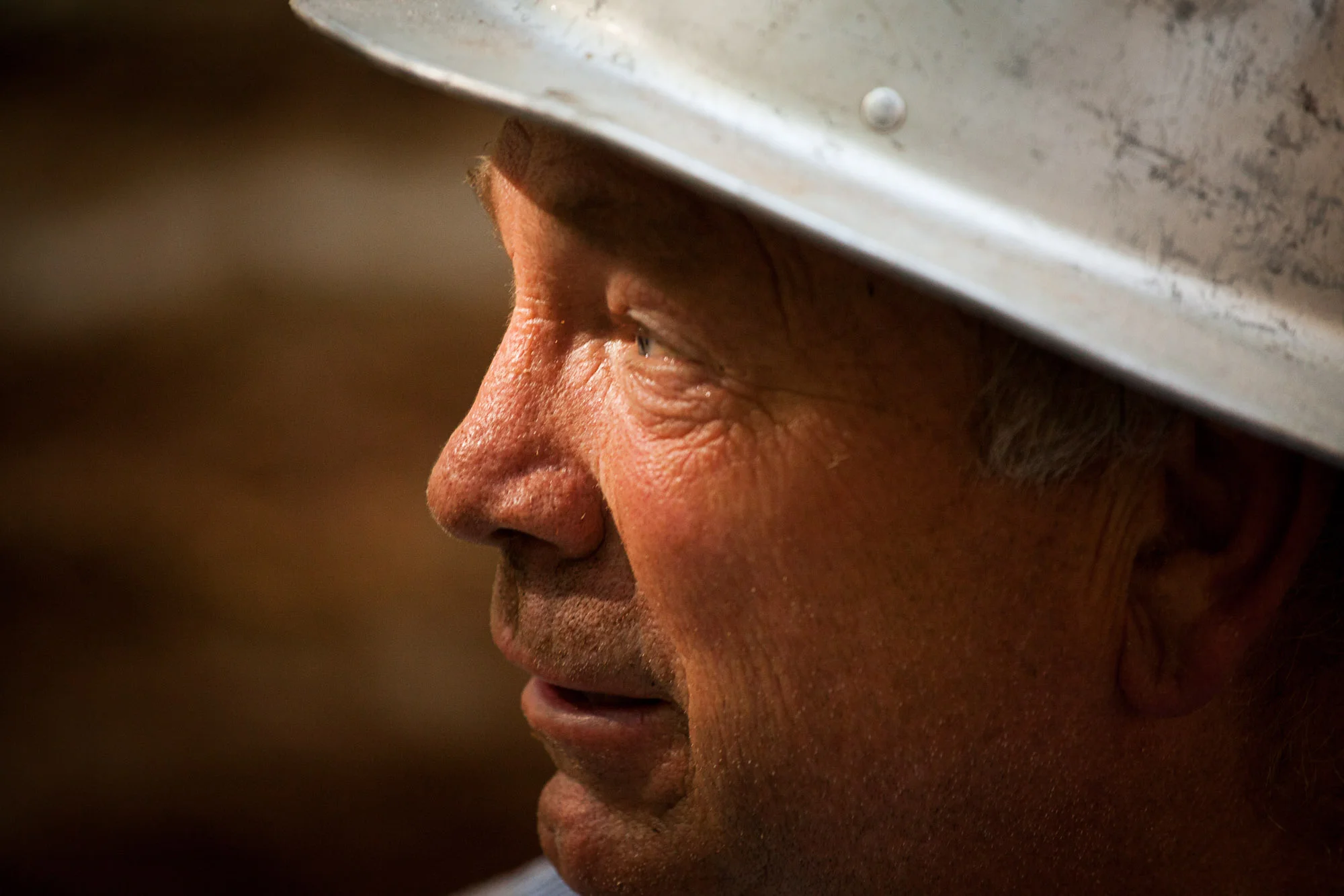logging-freeman-0193.jpg