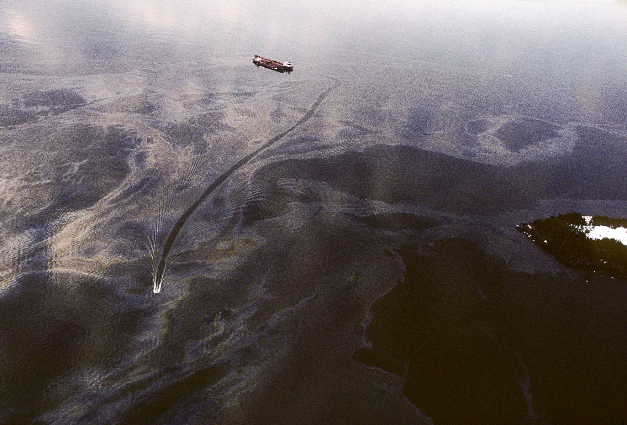 oilspill_10101.jpg