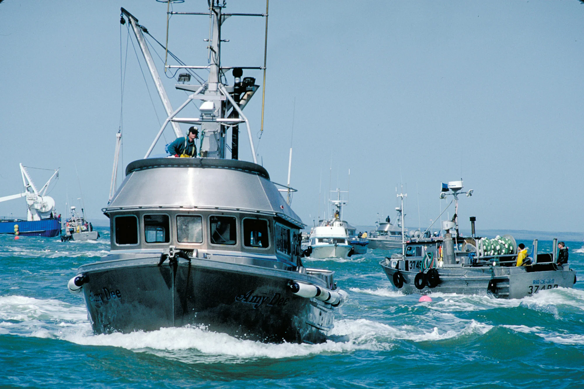 salmoncd1_070.jpg