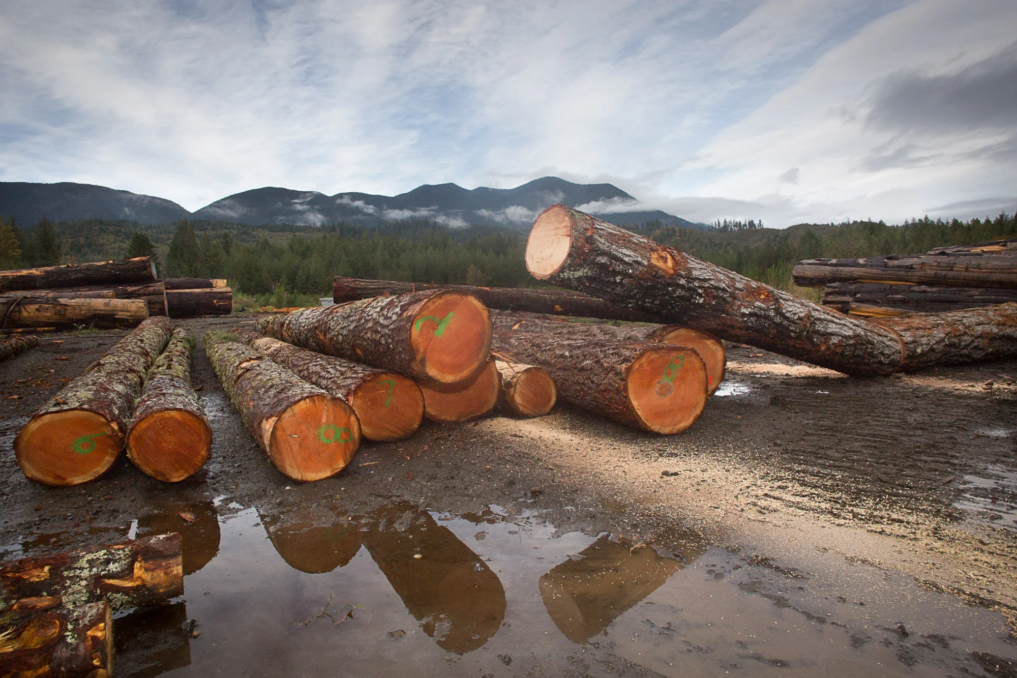 Sawmill-freeman-062.jpg