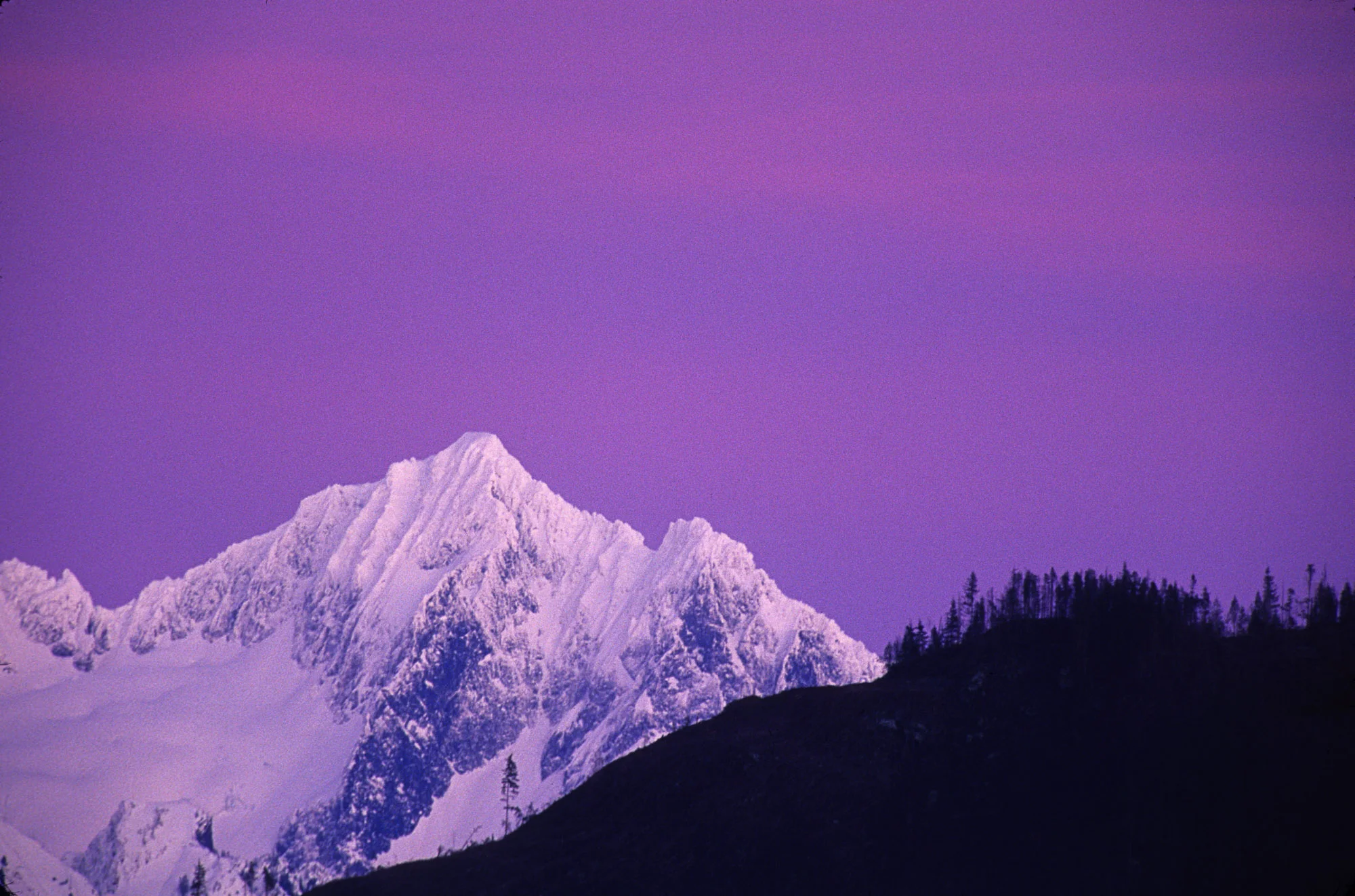 washington-56914.jpg
