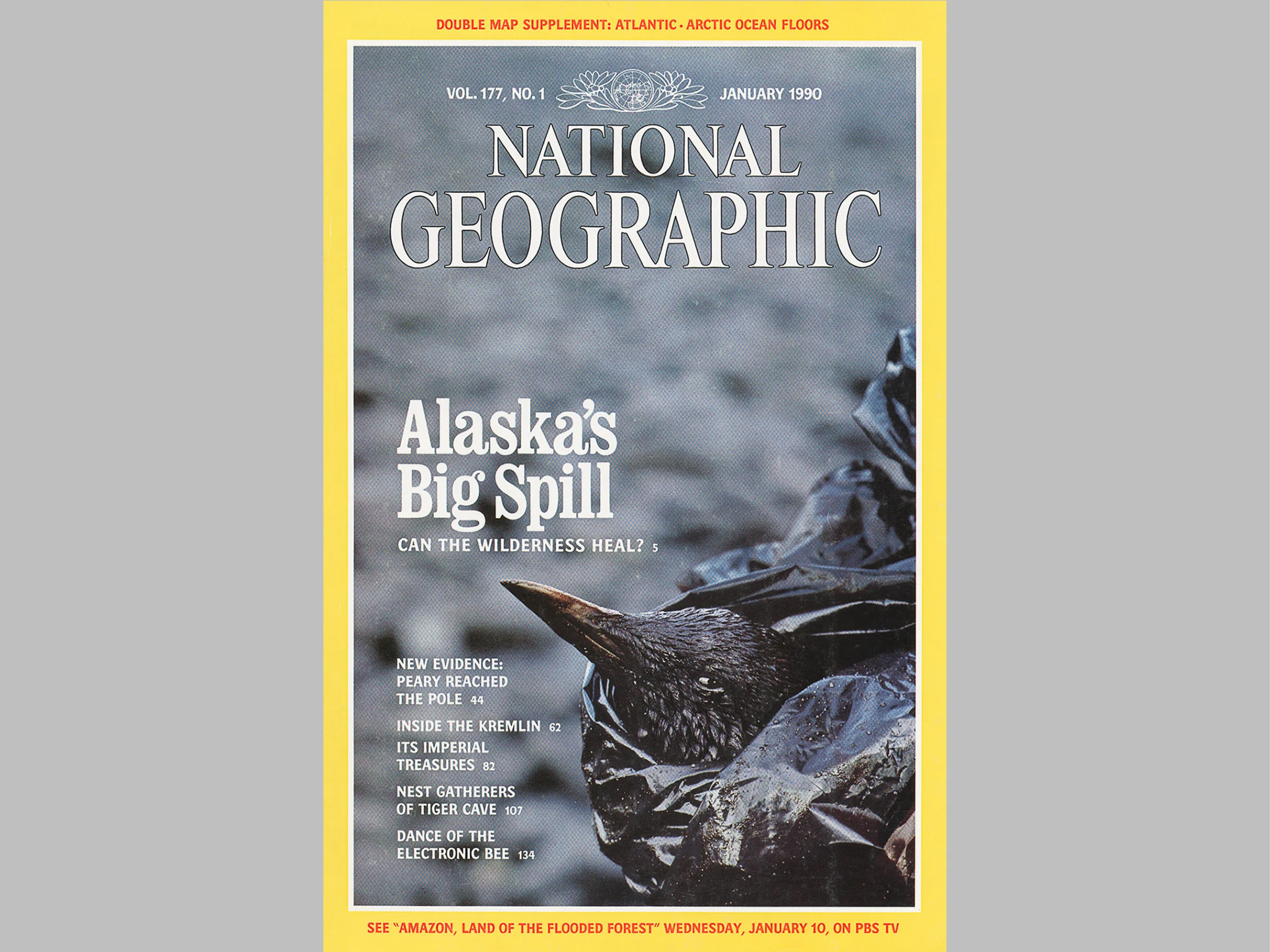 Exxon Valdez oil spill by Natalie Fobes