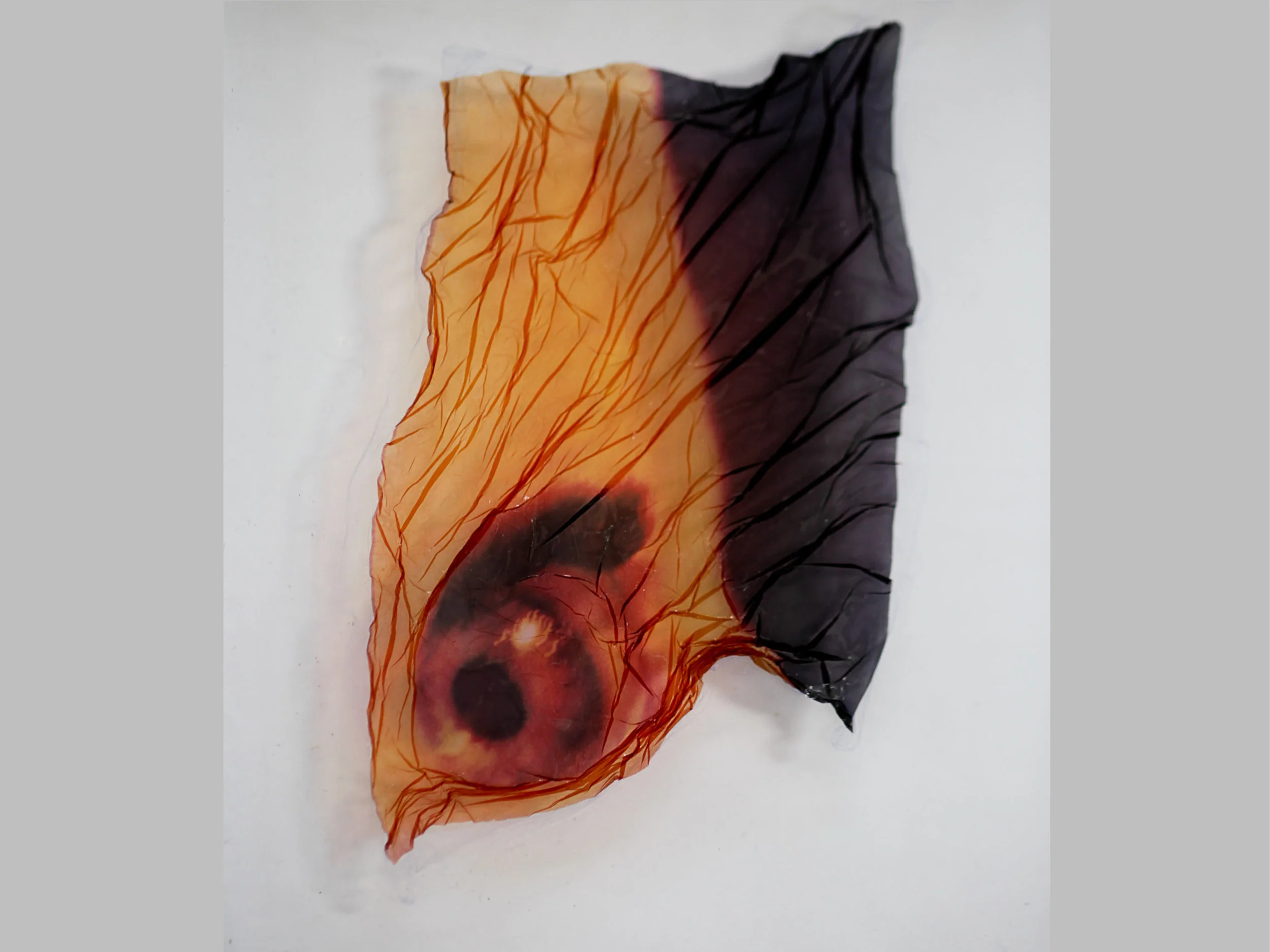 Doll's eye emulsion transfer on glass by Natalie Fobes