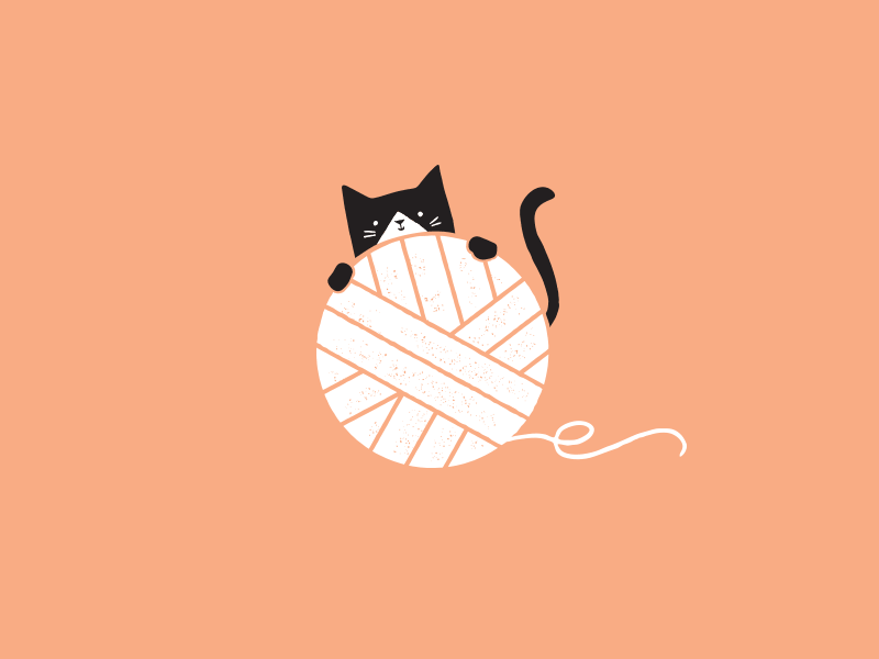 Behind the Scenes | New Branding for Little Cat Vintage