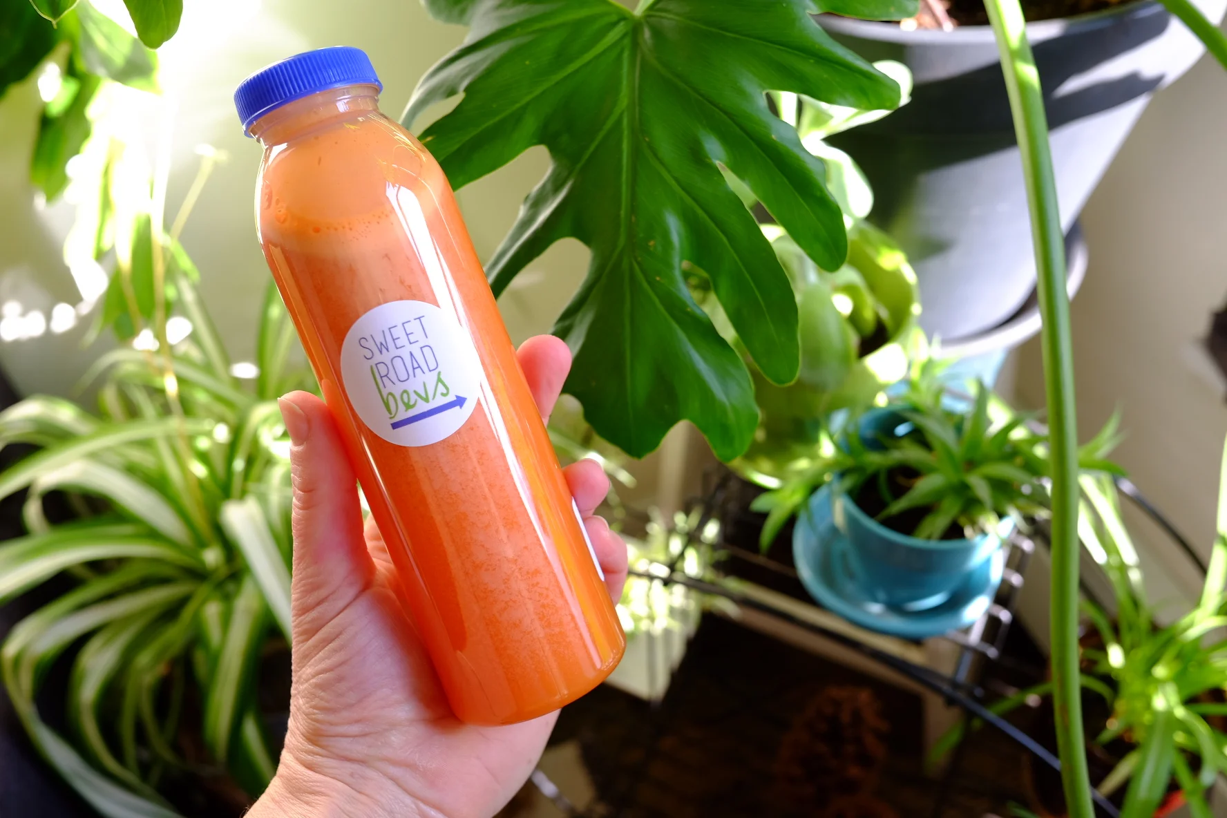 Sunshine Start Bottle.JPG