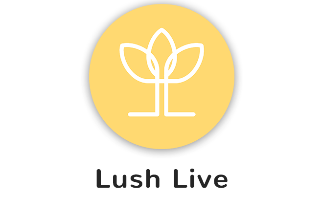 lush living live-online exercise session.png