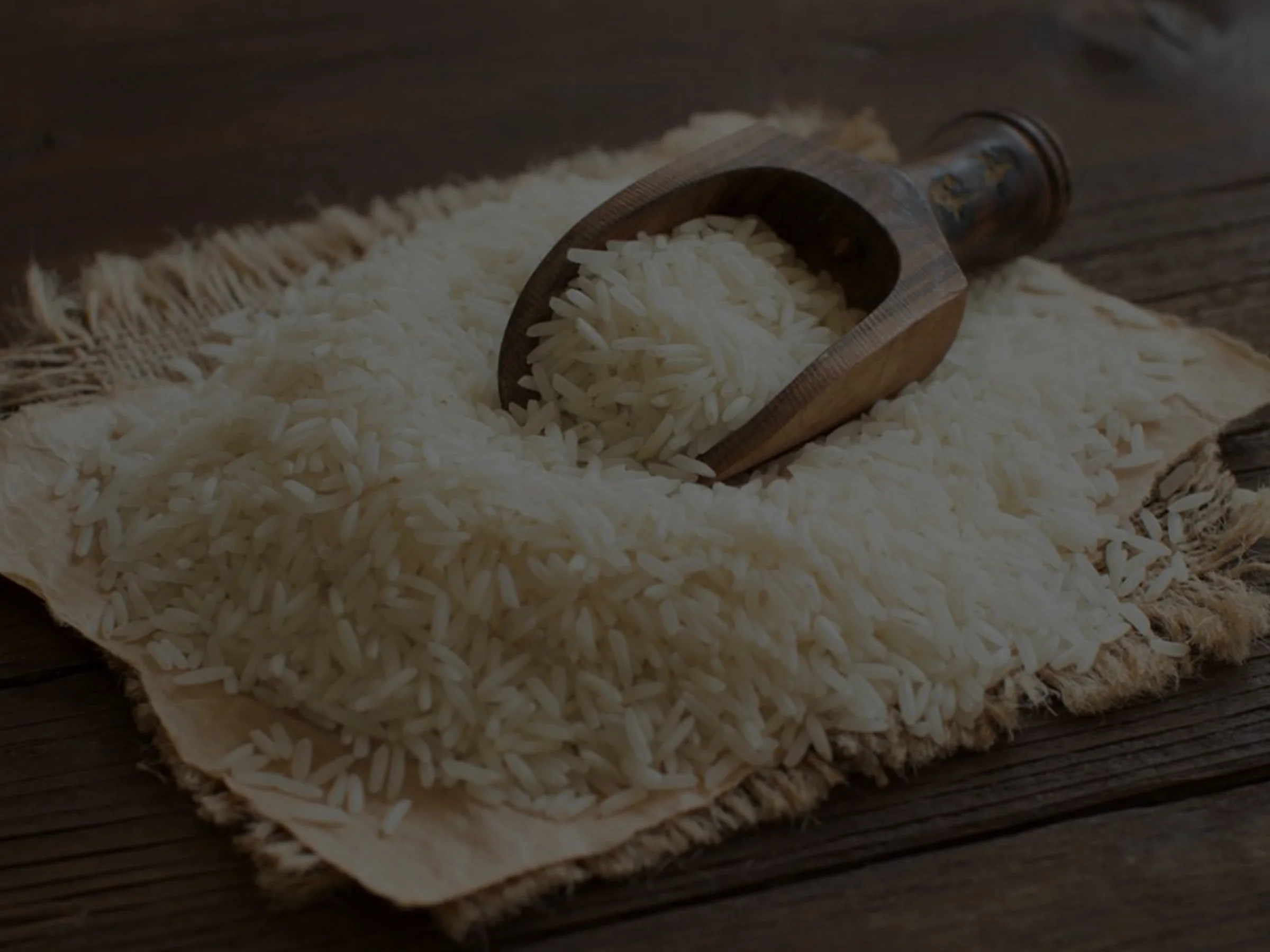 Welcome Screen Image [Rice].jpg