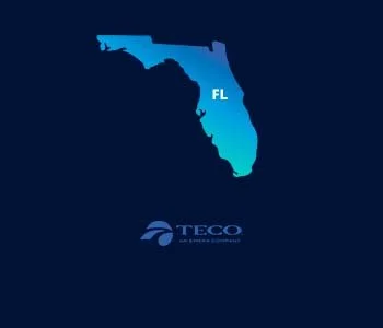Incredible Florida Electric Utility Map Free Photos