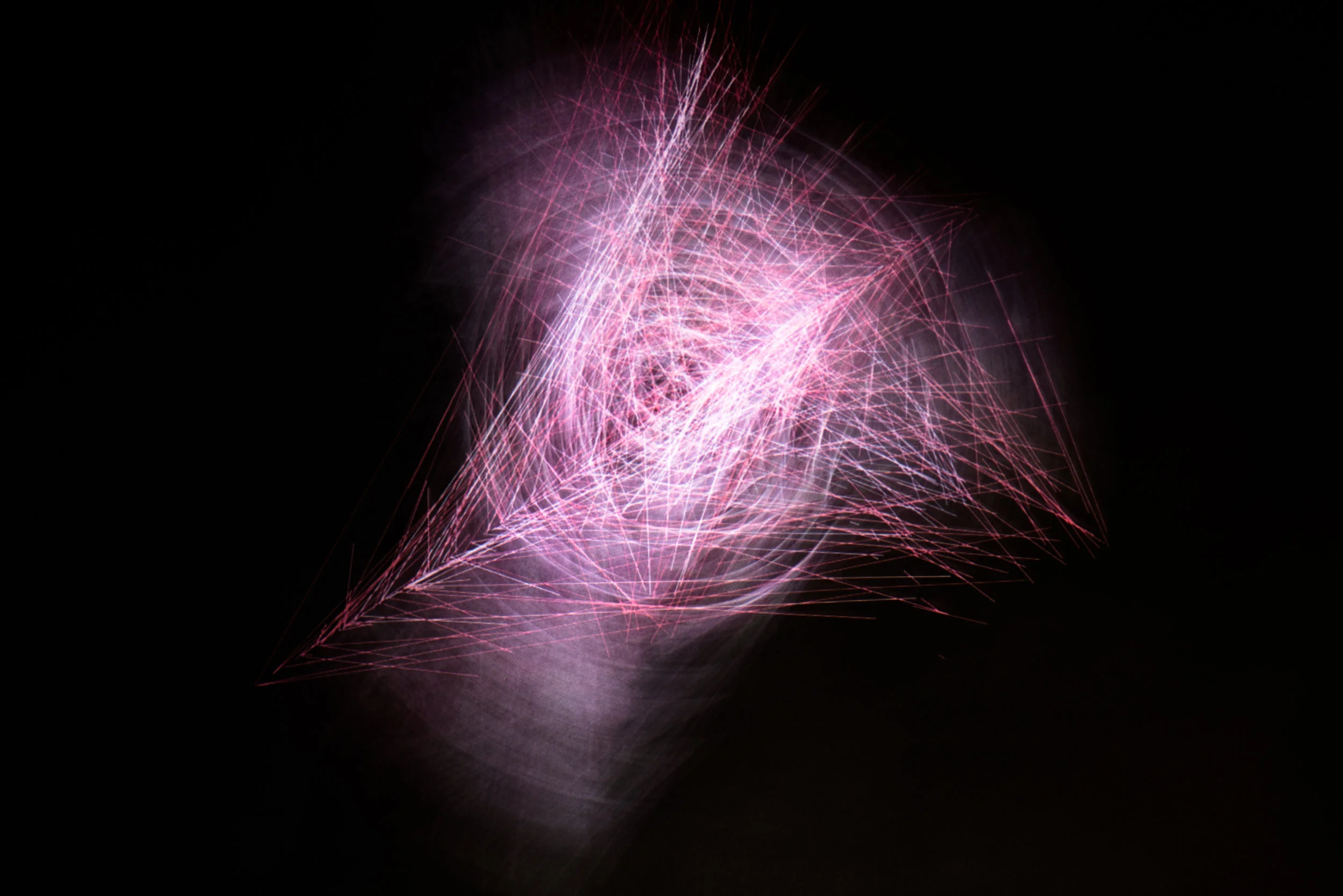 _DSC8287.jpg