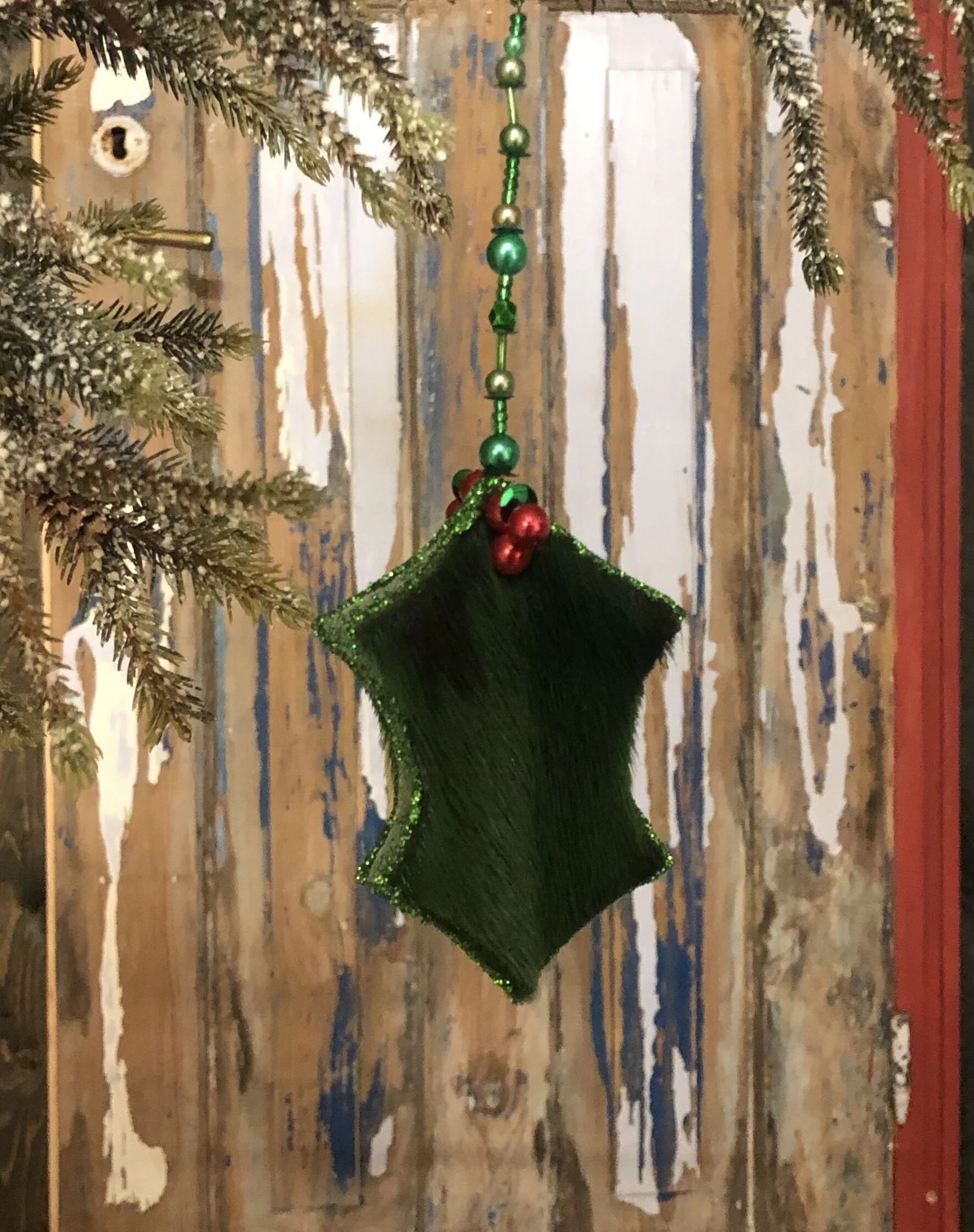 Skreytum hús með greinum grænum (2020)