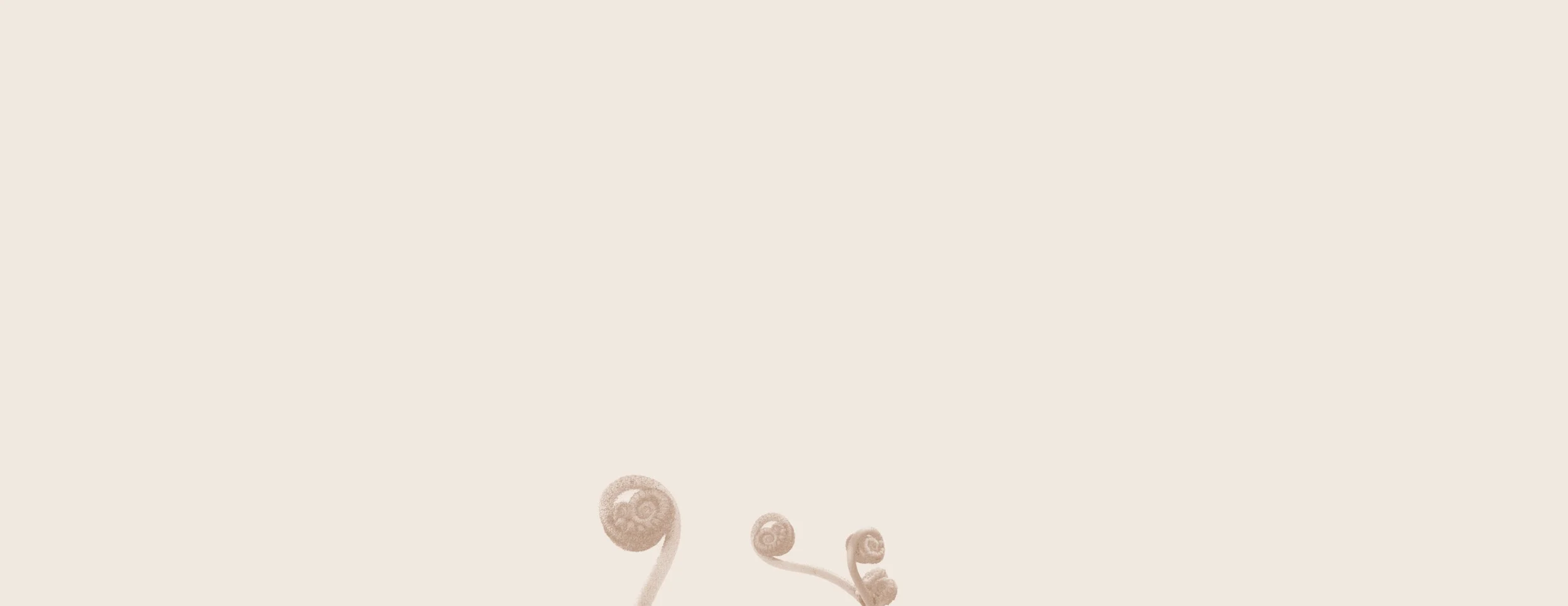 lightpink_fiddle_1.jpg