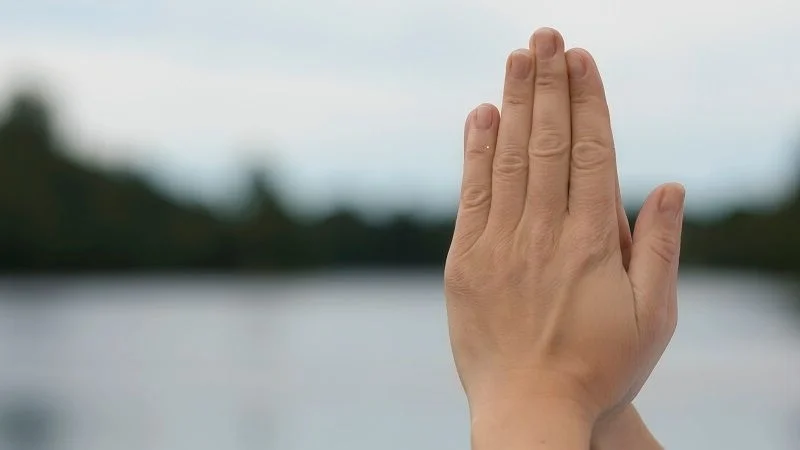 Anjali Mudra_preview.jpeg