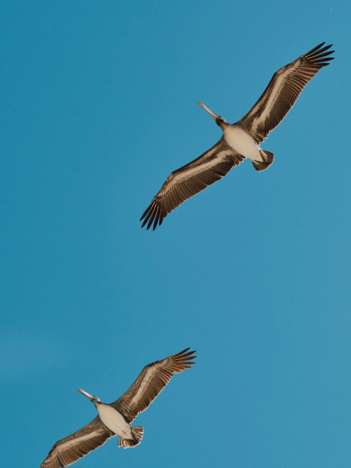 FINANCIAMIENTO DIRECTO HASTA 36 MESES