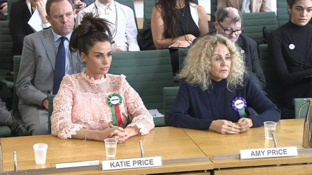 Nick Herbert supporting Katie Price as she gives evidence to a Petitions Select Committee hearing (6 Feb 2018)