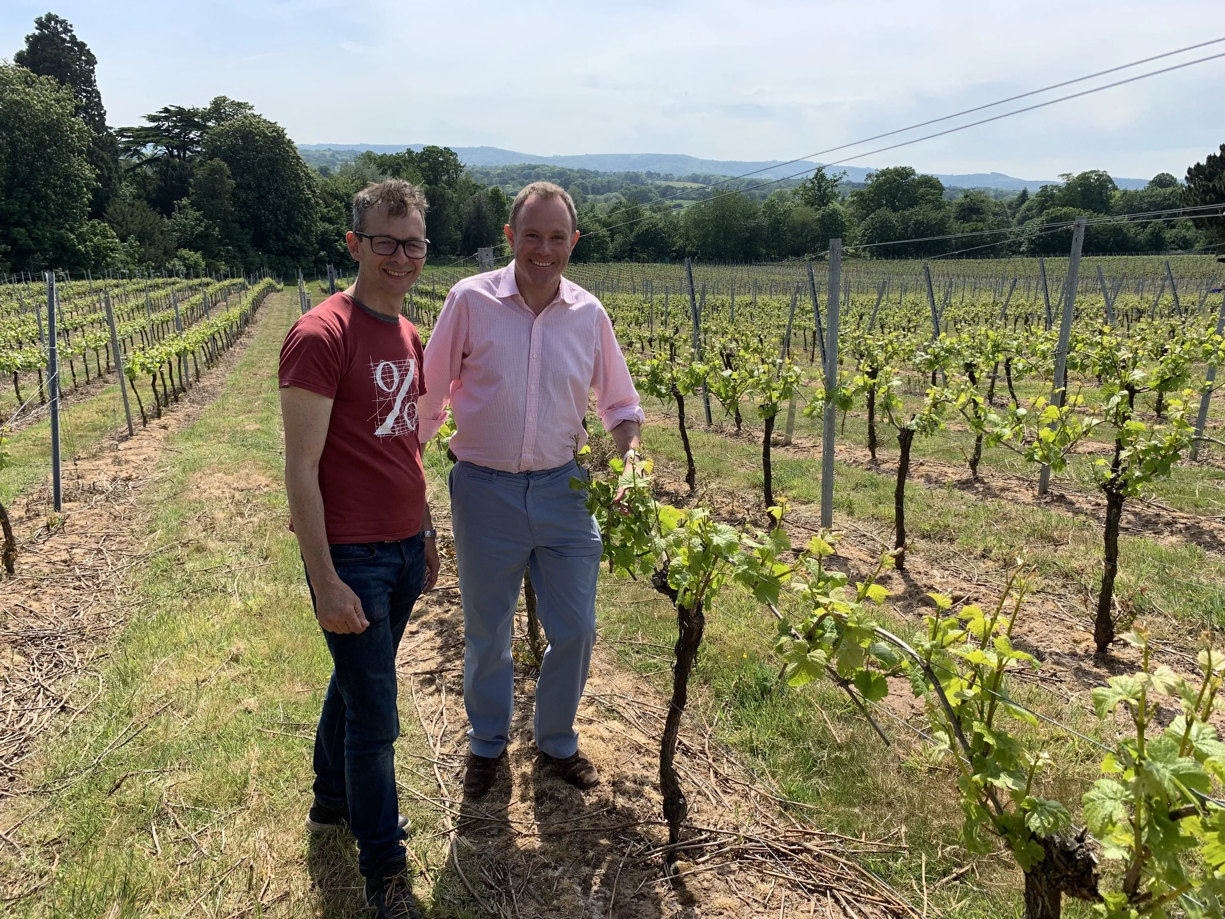 MP celebrates English Wine Week at Stopham vineyard