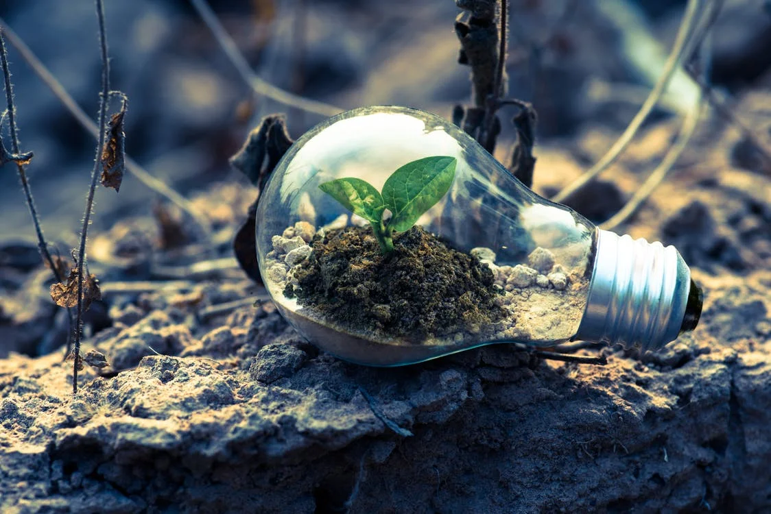 A climate-friendly economy