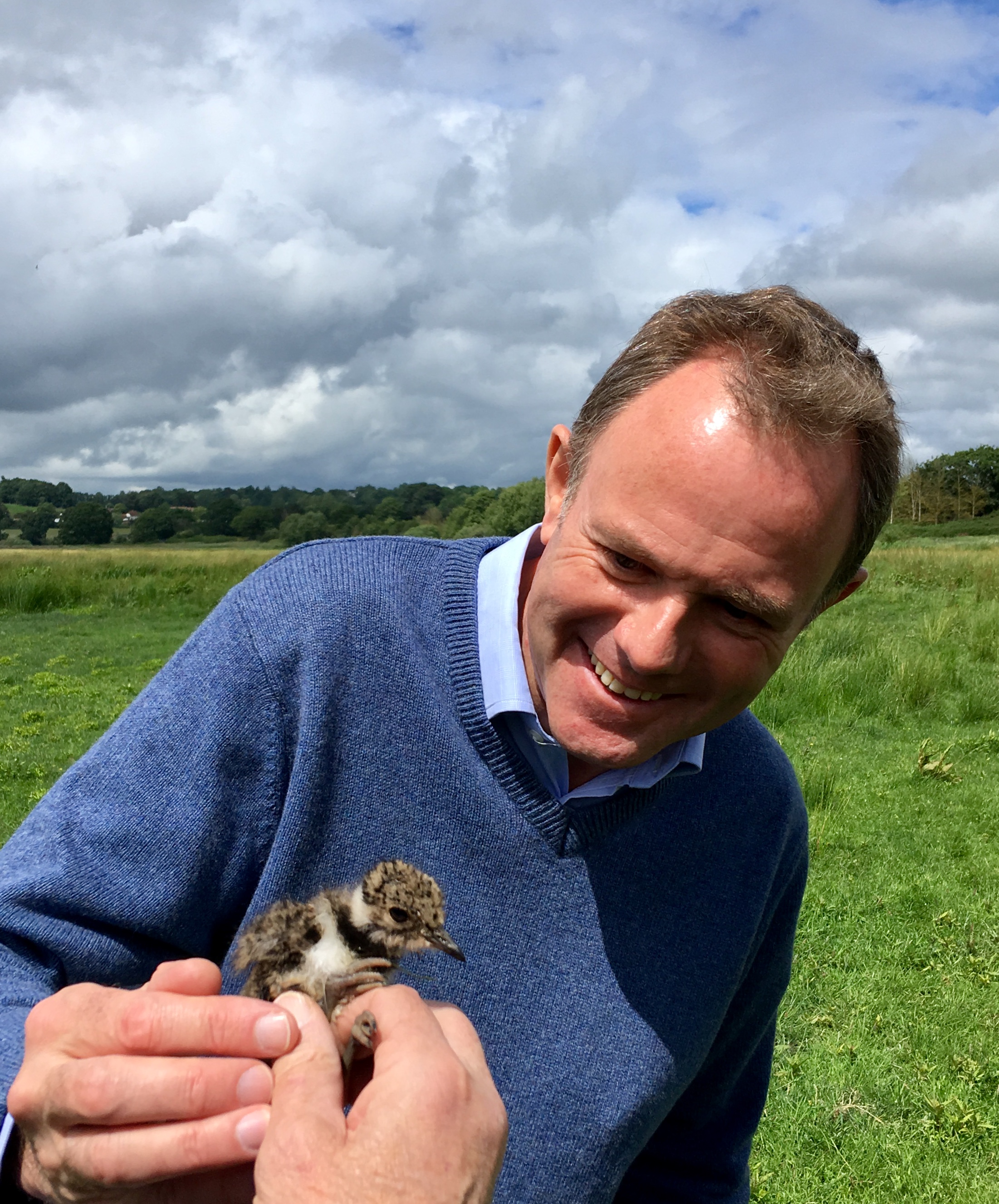190617 NH with Lapwing chick RSPB Pulborough.jpeg