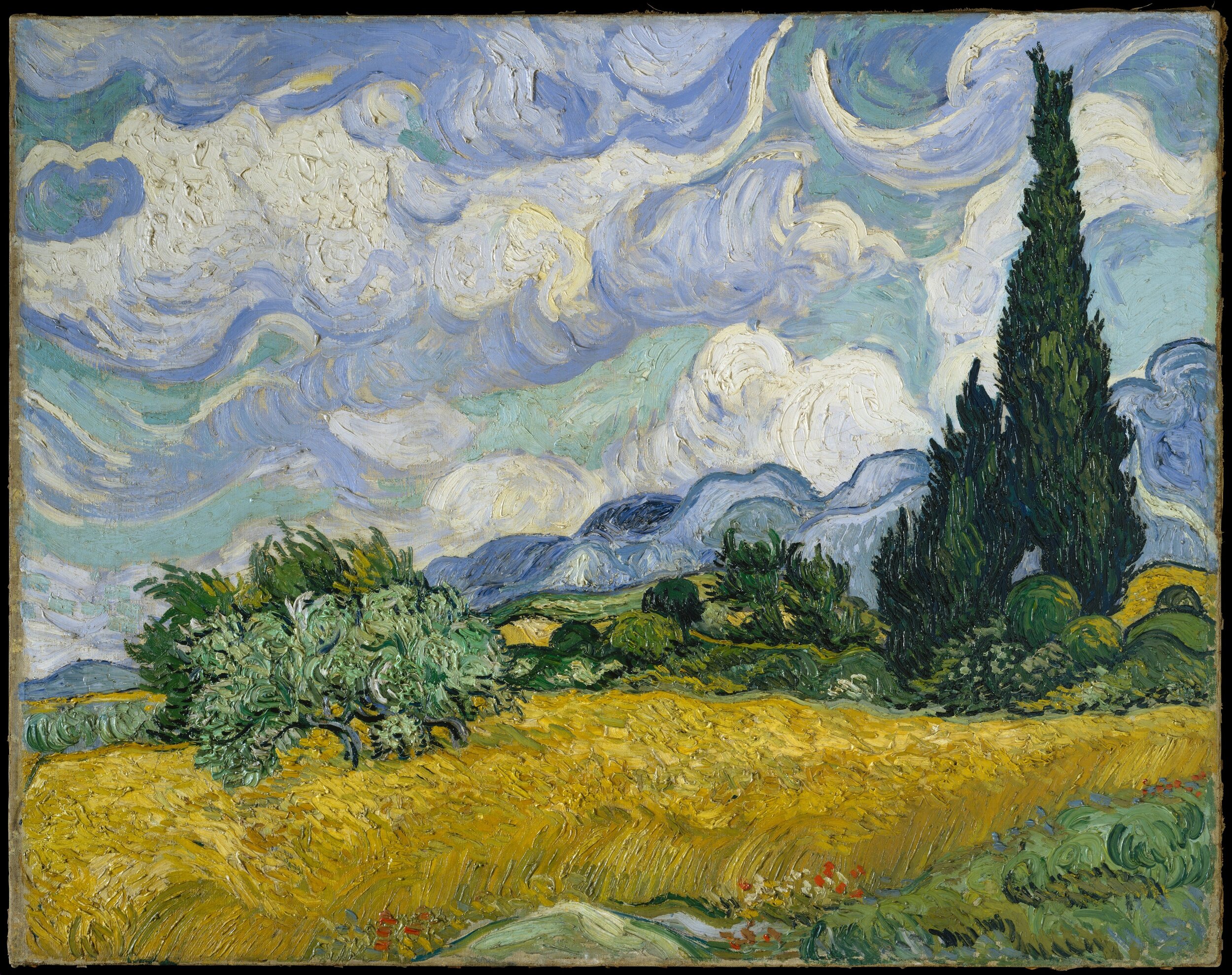 Wheat Fields with Cypresses