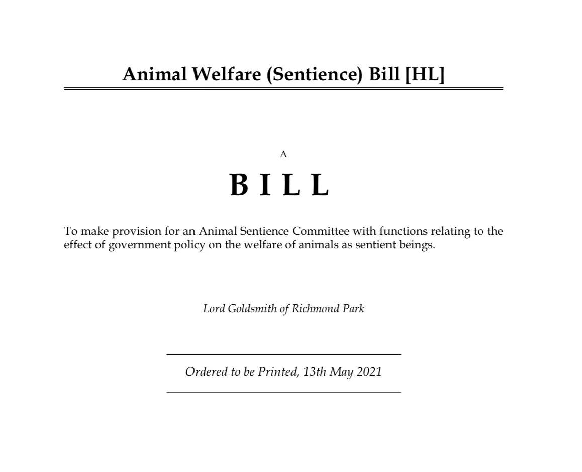 Sentience bill will glue up government with a bonkers animal rights agenda