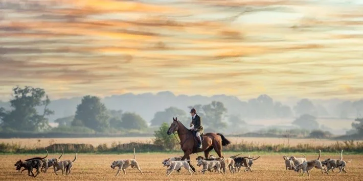 Is it time to ban trail and drag hunting? Lord Herbert says No