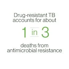 UNGA should address TB and antimicrobial resistance together