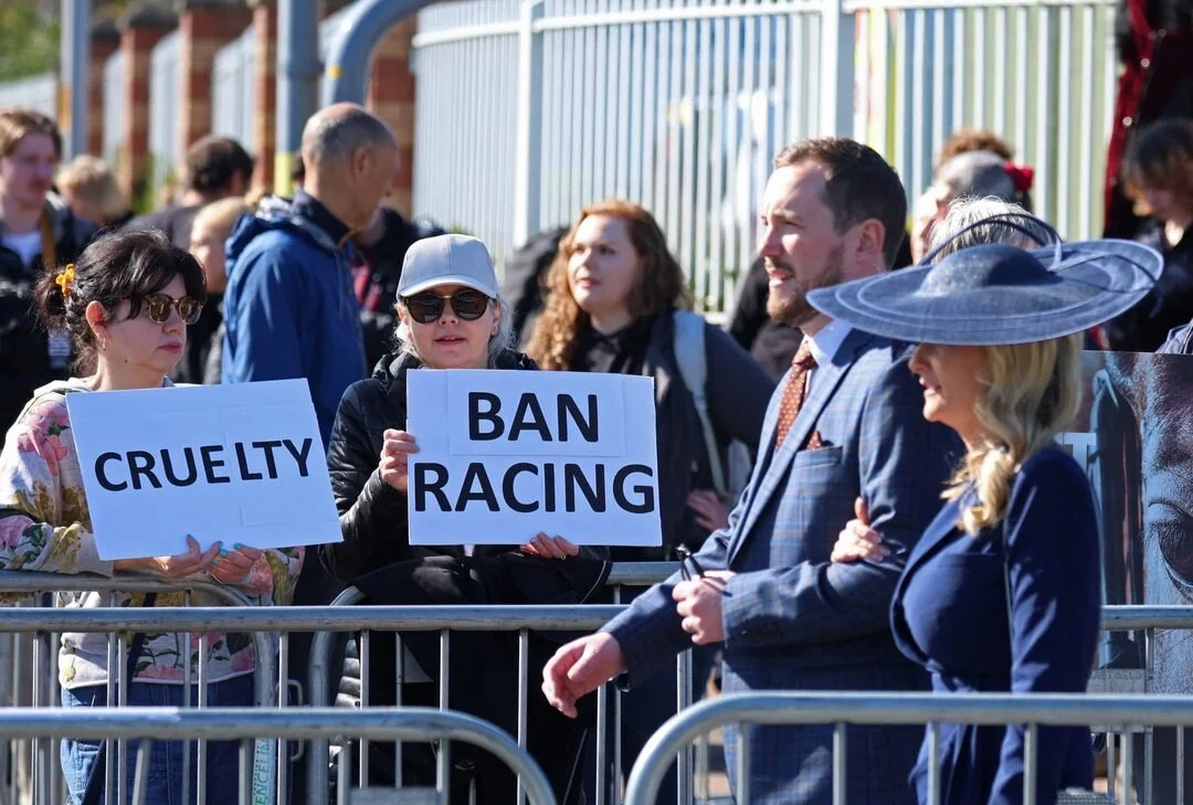 Activists have their sights set on horse racing